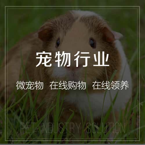 塔城宠物