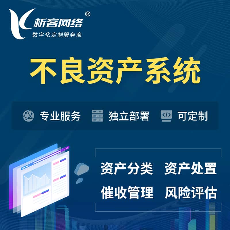 塔城不良资产管理系统